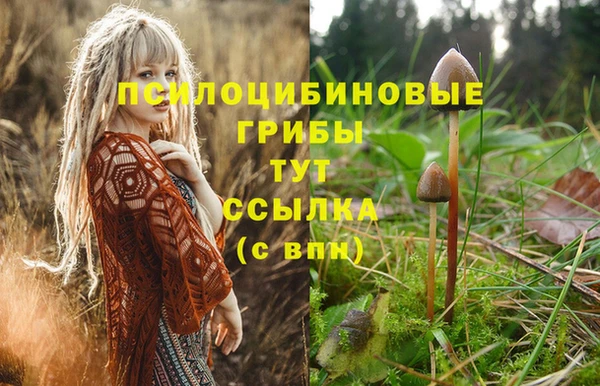 хмурый Михайлов