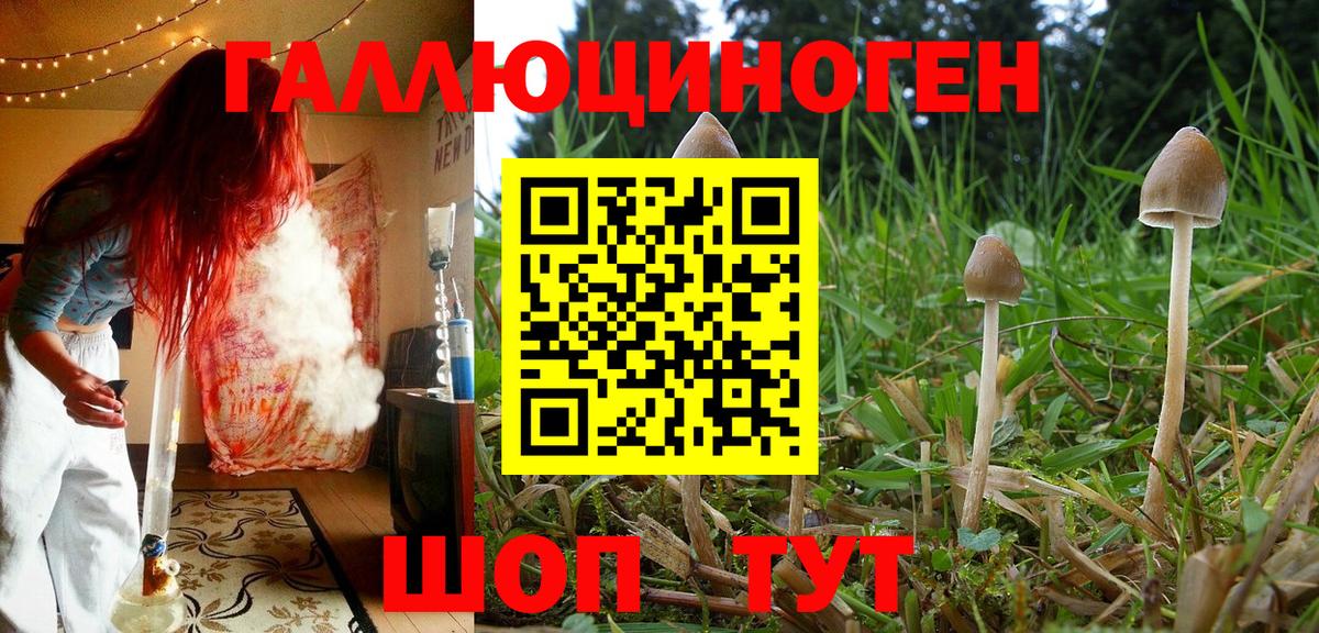 Псилоцибиновые грибы мицелий  Вход с VPN  Ангарск  Псилоцибиновые грибы GOLDEN TEACHER 