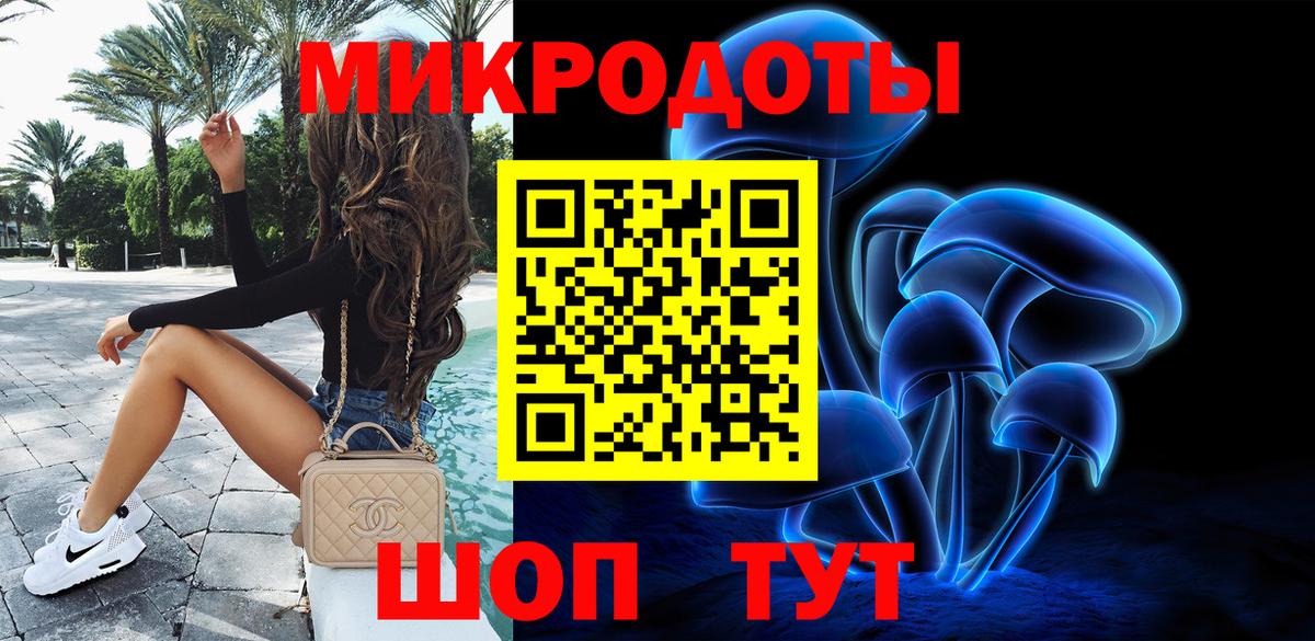 Галлюциногенные грибы Psilocybe Ангарск